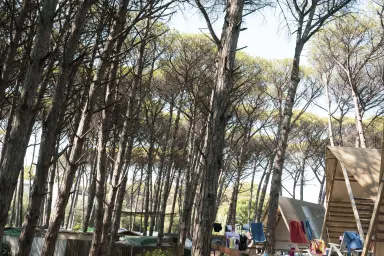 Mare Pineta Camping Village