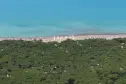 Blick auf den Pinienwald und das toskanische Meer auf dem Camping Belmare in Marina di Castagneto