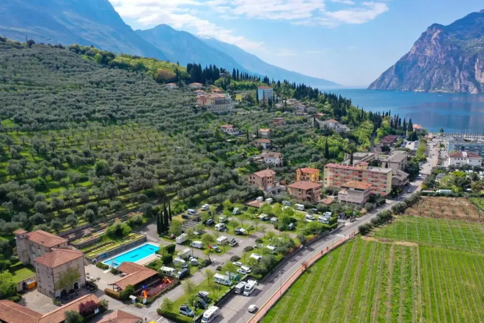 Blick auf den Olivenhain und den Gardasee vom Campingplatz Brione in Riva del Garda