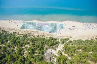 Panoramablick auf den Pinienwald und den Strand von Cieloverde Camping in Marina di Grosseto in der Toskana