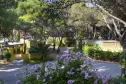 Blick auf die Bungalows des Campingplatzes La Vecchia Torre in Gallipoli in Apulien