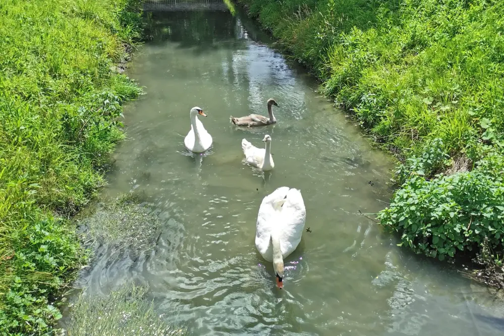 Camping Pullmann Piešťany, Banka, Trnava, Slowakei