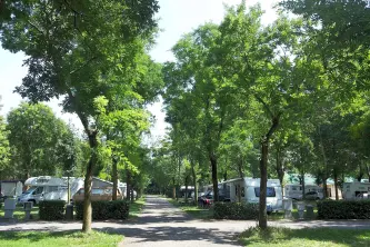 Allee der camping village città di milano mit Stellplätzen