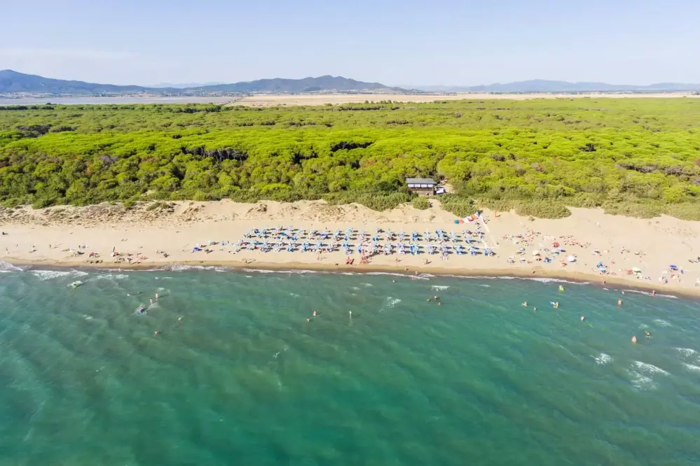 Panoramablick auf den Strand und den Pinienwald des Campingplatzes Gitavillage Le Marze in der Toskana