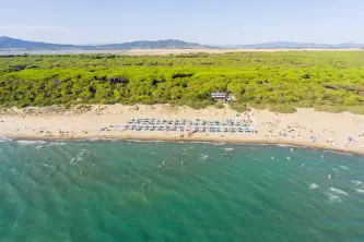 Panoramablick auf den Strand und den Pinienwald des Campingplatzes Gitavillage Le Marze in der Toskana