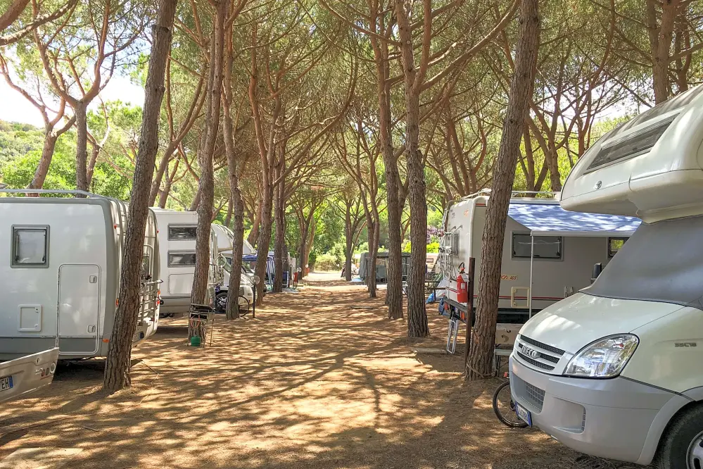 Blick auf die Stellplätze des Camping village Torre Pendente in Pisa