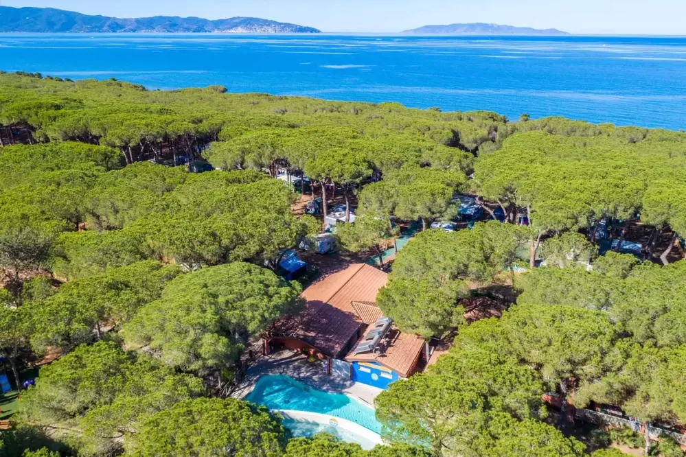 Blick auf den Pinienwald und das Meer von Il Gabbiano Camping Gitavillage in Albinia in der Toskana