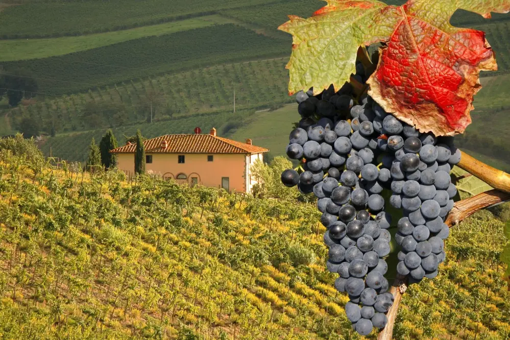 Camping Panorama del Chianti, Certaldo, Toskana, Italien