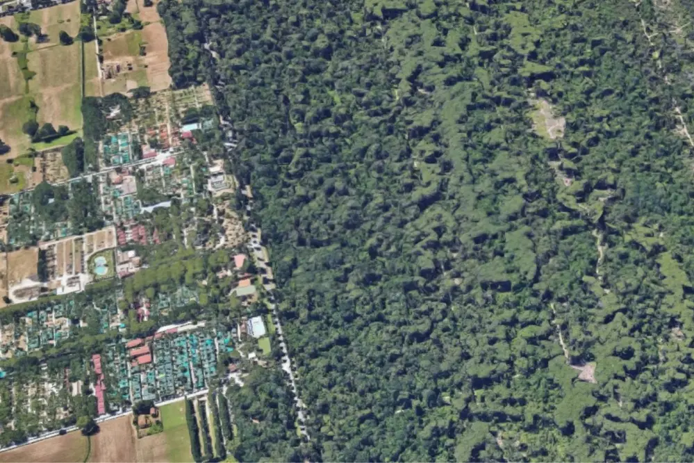 overview of the Europa campsite facing the Tuscan pine forest in Versilia