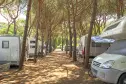 view of the pitches of the Torre Pendente camping village in Pisa