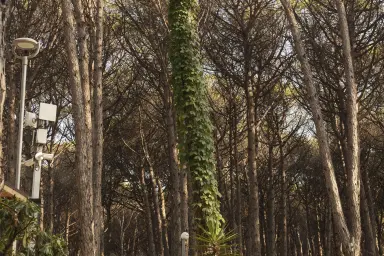 Mare Pineta Camping Village, Región de Campania, Italia