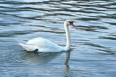 Kamp Karin, Donji Karin, Zaratina, Croatia