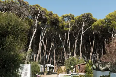 Mare Pineta Camping Village, Campanie, Italie