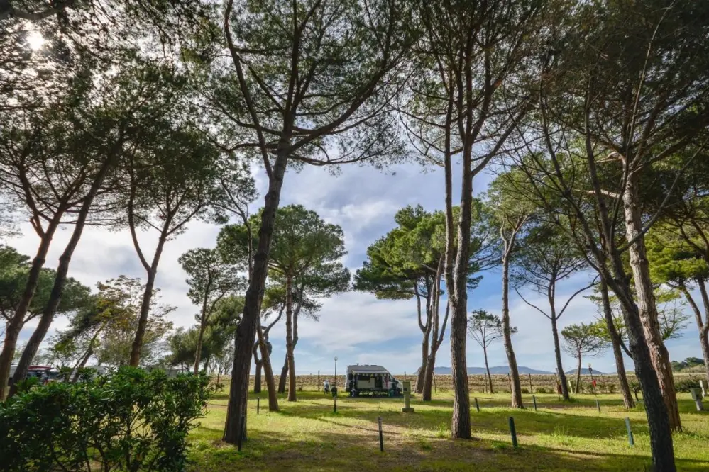 vista delle piazzole del camping Bocche D'Albegna in Toscana