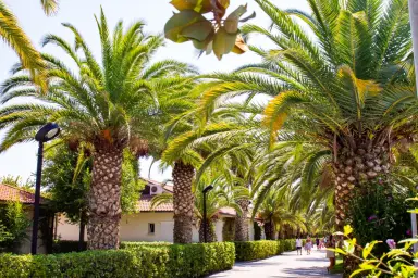 Villaggio Turistico Lido d'Abruzzo, Roseto degli Abruzzi, Abruzzo, Italia