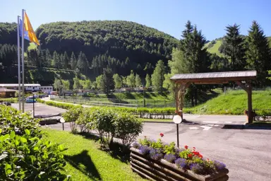 uitzicht op de bossen van Trentino vanaf camping Ciclamino in Brentonico in Trentino