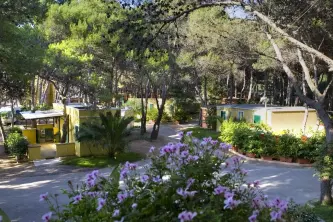 zicht op de bungalows van camping La Vecchia Torre in Gallipoli in Puglia