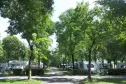 laan van het camping village città di milano met staanplaatsen